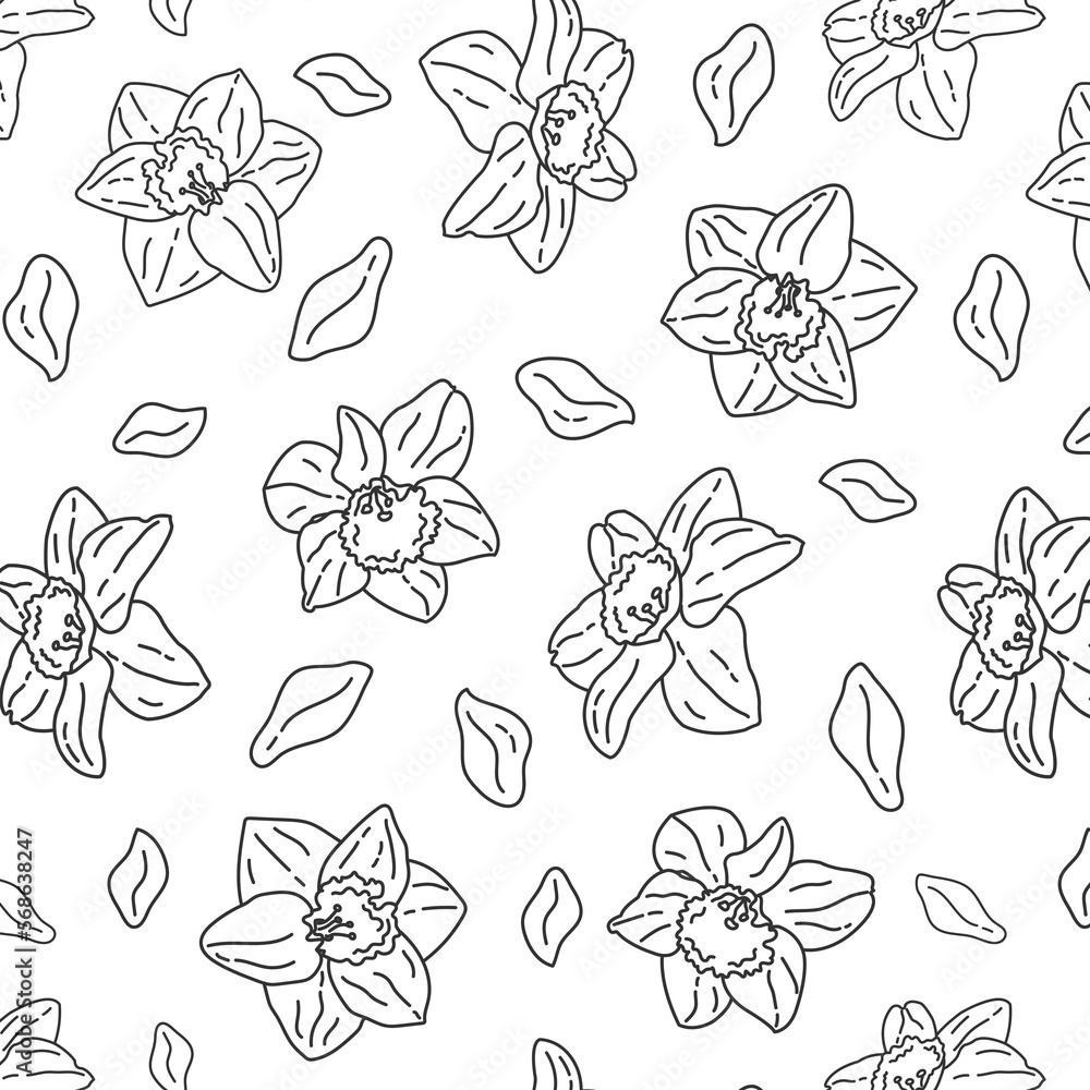 seamless doodle pattern with daffodils on a white background with black lines. Vector advertising spring background for the store. seamless doodle pattern with daffodils on a white background with black lines. Vector advertising spring background for the store.