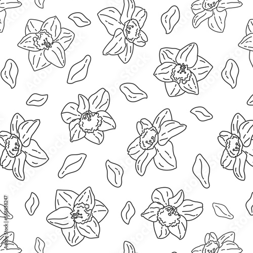 seamless doodle pattern with daffodils on a white background with black lines. Vector advertising spring background for the store.