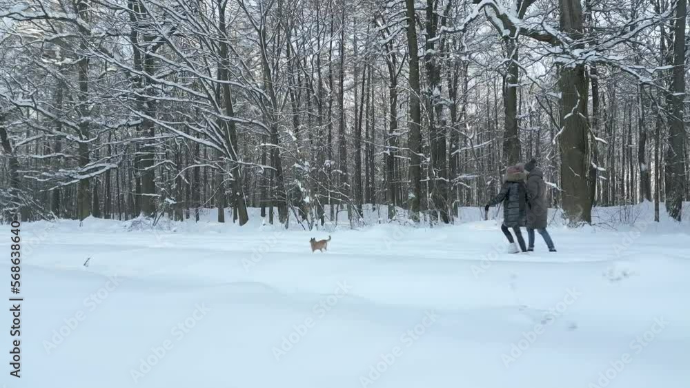 Happy, young couple having fun with their dog in the snowy forest in winter. Happy, young couple having fun with their dog in the snowy forest in winter.