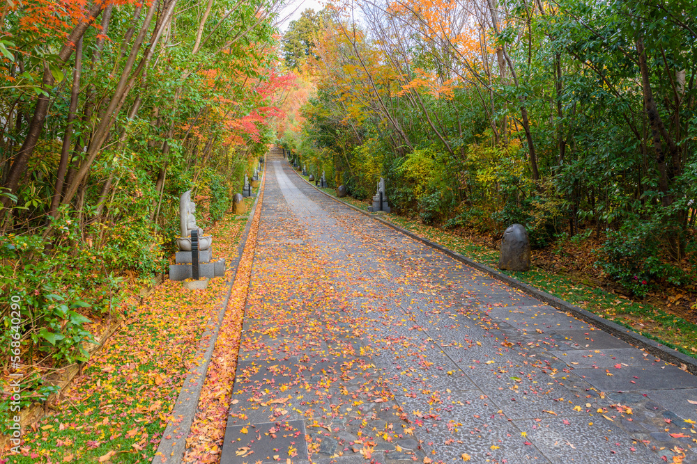 Naklejka premium 輪王寺 晩秋 