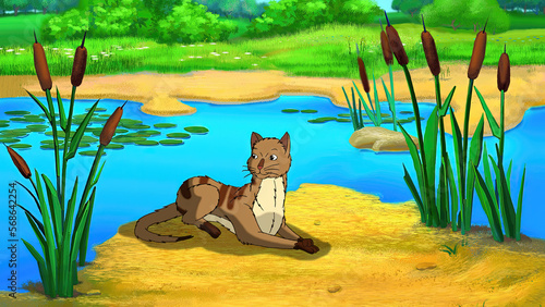 Red tabby cat near a pond illustration
