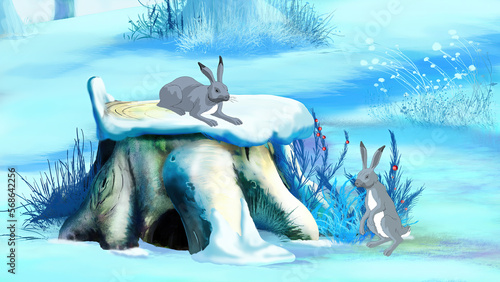 White hares in the winter forest illustration