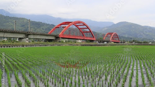 A  Puyuma Express train traveling through beautiful Kecheng Iron Bridge over newly transplanted rice shoots in the flooded green paddy fields with mountains in background in Yuli, Hualien, Taiwan photo