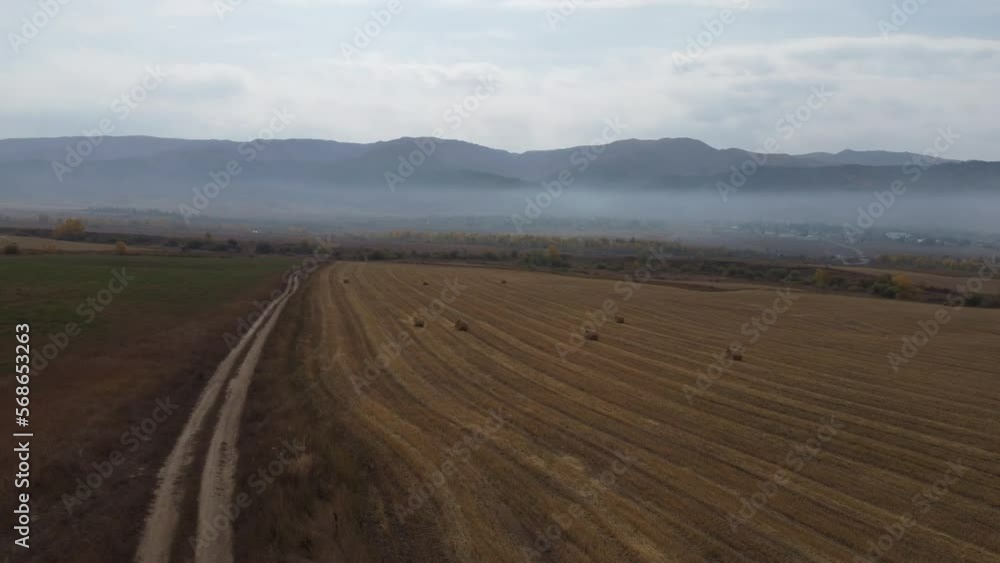 flight over the field, yellow field, harvesting, tractor, hay, stock