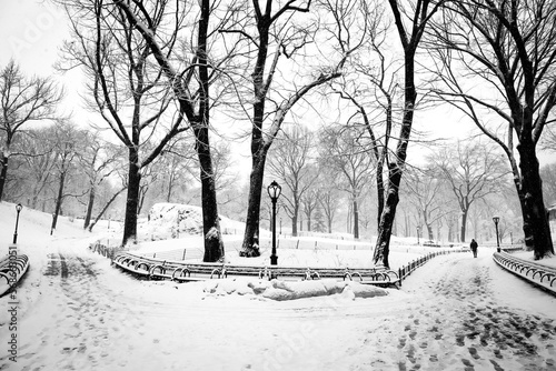 Large path in the park during snow © Naomichi