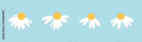 Set of hand drawn daisy flower icons on blue background vector illustration.