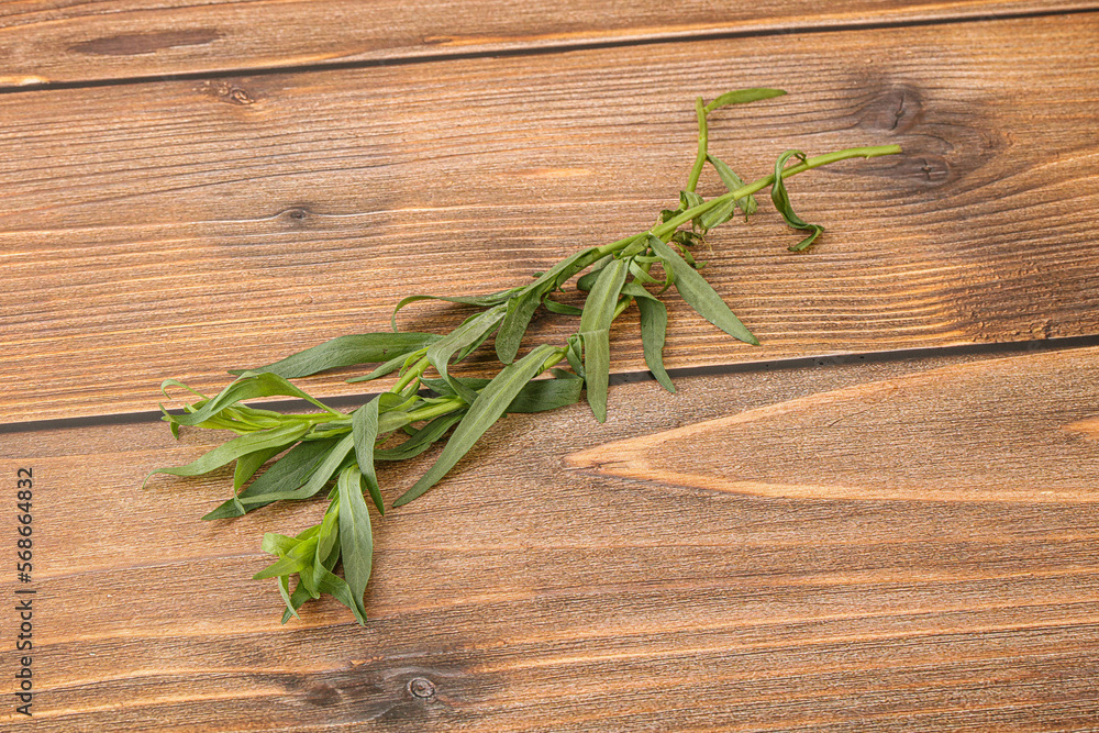 Green tarragon herb spice for cooking Green tarragon herb spice for cooking