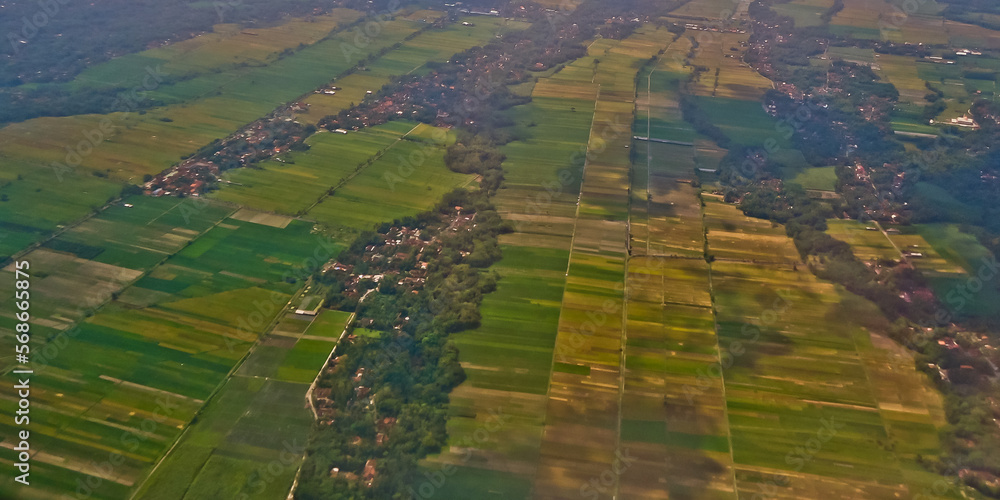 Fototapeta premium aerial view of rice fields