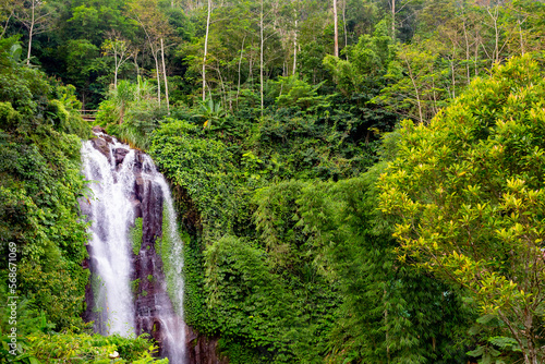 Fototapeta Naklejka Na Ścianę i Meble -  Golden valley waterfall in Bali, Indonesia	