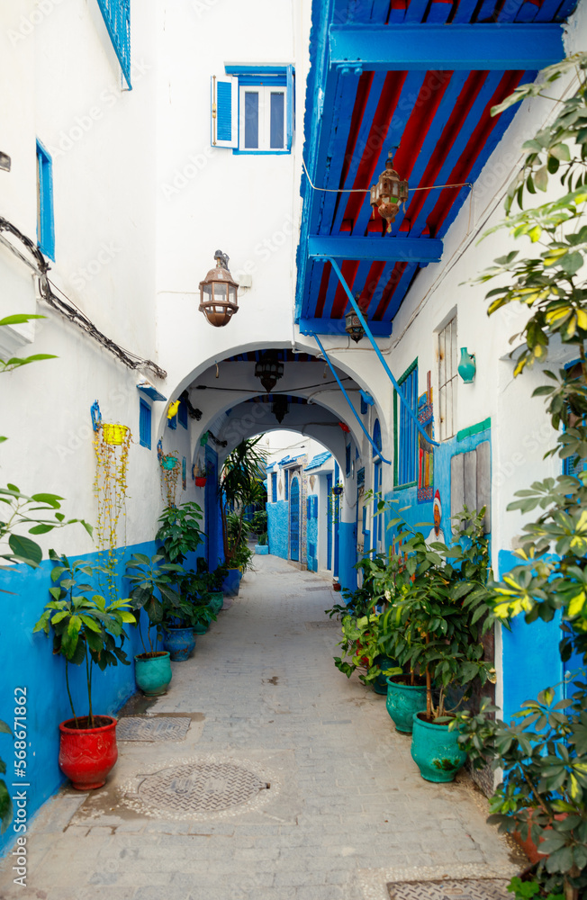Fototapeta premium tourism at Tanger, Morocco