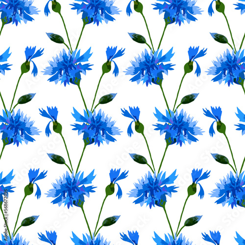 Beautiful wild flowers. Meadow flowers, field flowers.
Wild plants and flowers, pattern, field herbs, natural background, hand drawn illustration. 