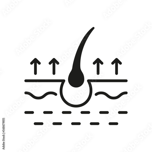 Concept of Hair Loss Silhouette Icon. Hair Shedding Disease Black Glyph Pictogram. Hair Fall Icon. Isolated Vector Illustration