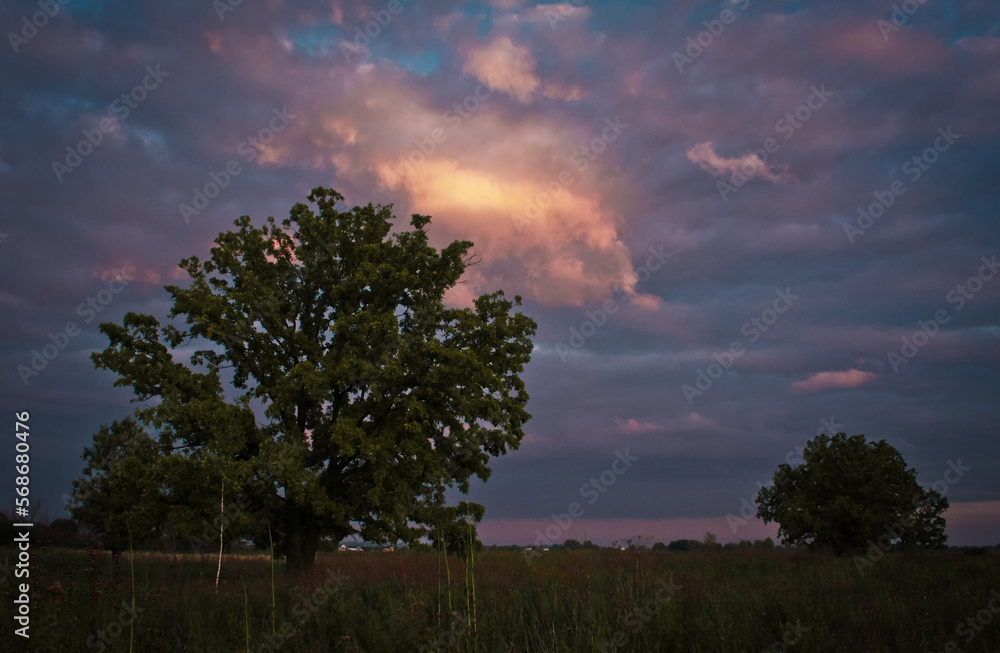 Cloudy pink evening sky in rural area landscape photo. Beautiful nature scenery photography with blurred background. Idyllic scene. High quality picture for wallpaper, travel blog, magazine, article