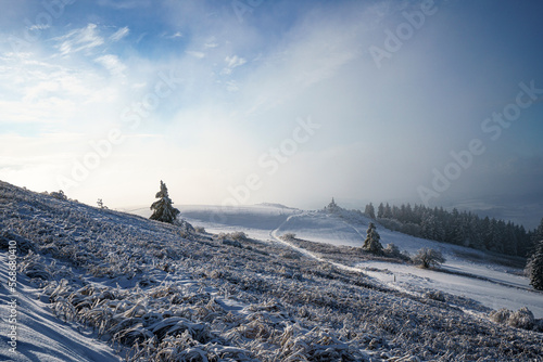 Traumhafte Winterlandschaft auf der Wasserkuppe in der Rhön 2 photo