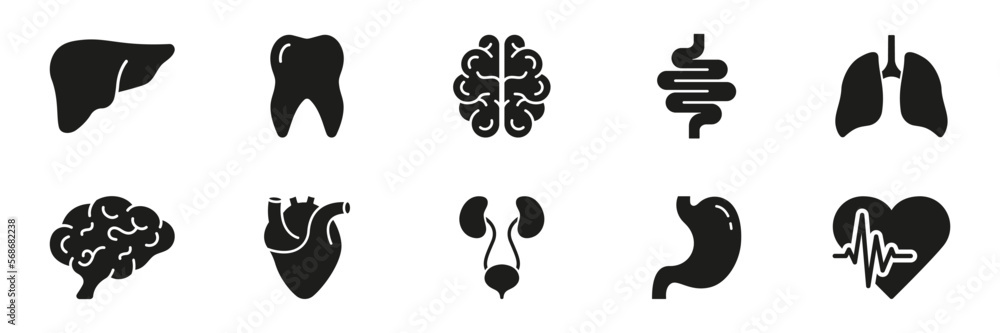 Human Internal Organ Anatomy Silhouette Icon Set. Tooth, Liver, Brain, Intestine, Lung, Heart, Stomach, Urinary System Glyph Pictogram. Medical Healthcare Icon. Isolated Vector Illustration Human Internal Organ Anatomy Silhouette Icon Set. Tooth, Liver, Brain, Intestine, Lung, Heart, Stomach, Urinary System Glyph Pictogram. Medical Healthcare Icon. Isolated Vector Illustration