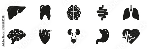 Human Internal Organ Anatomy Silhouette Icon Set. Tooth, Liver, Brain, Intestine, Lung, Heart, Stomach, Urinary System Glyph Pictogram. Medical Healthcare Icon. Isolated Vector Illustration