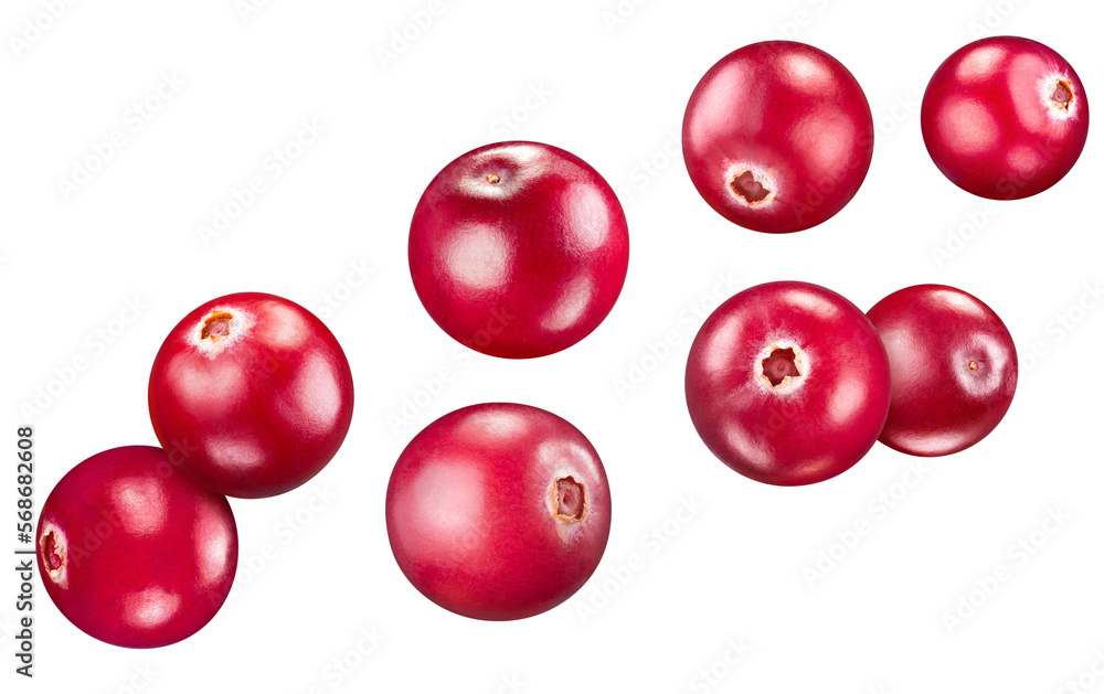 Cranberry collection isolated on white background. Cranberry set Clipping Path. Cranberry macro studio photo Cranberry collection isolated on white background. Cranberry set Clipping Path. Cranberry macro studio photo