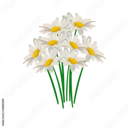 flower,blossm,beautiful
valentine,natural
drawing,garden,flora
design,yellow,
illustration,vector