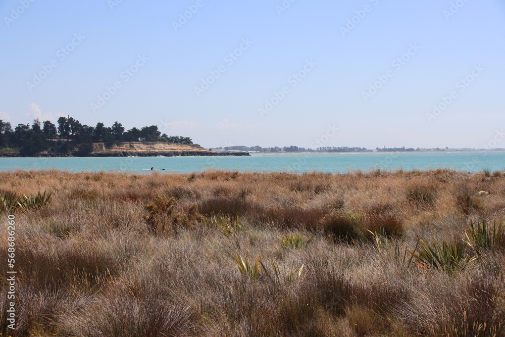 Caroline Bay in the port city of Timaru on the South Island of New Zealand. Caroline Bay in the port city of Timaru on the South Island of New Zealand.