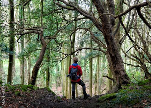 Hiker wearing backpack standing amidst trees in forest photo