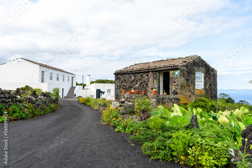 Azoren Sao Miguel Portugal Atlantischer Ozean Ponta Delgada