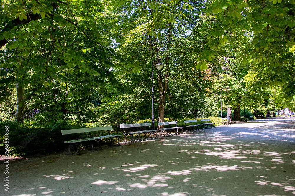 summer landscape on a sunny day park garden Warsaw Poland path, tree