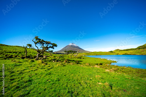 Azoren Sao Miguel Portugal Atlantischer Ozean Ponta Delgada
