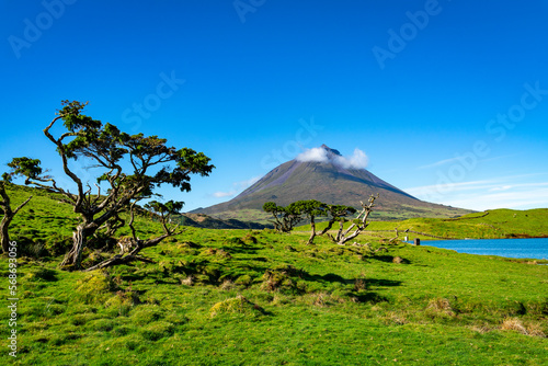 Azoren Sao Miguel Portugal Atlantischer Ozean Ponta Delgada