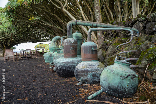 Azoren Sao Miguel Portugal Atlantischer Ozean Ponta Delgada