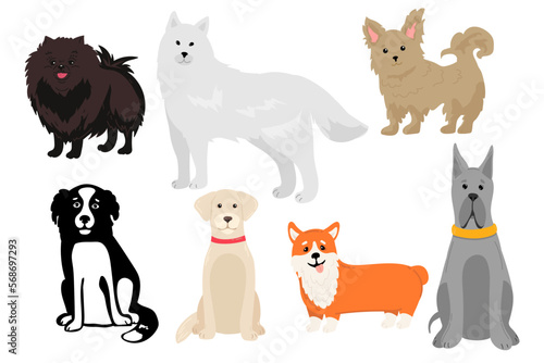 Dogs collection. Vector illustration of funny cartoon different breeds dogs in trendy flat style. Isolated on white