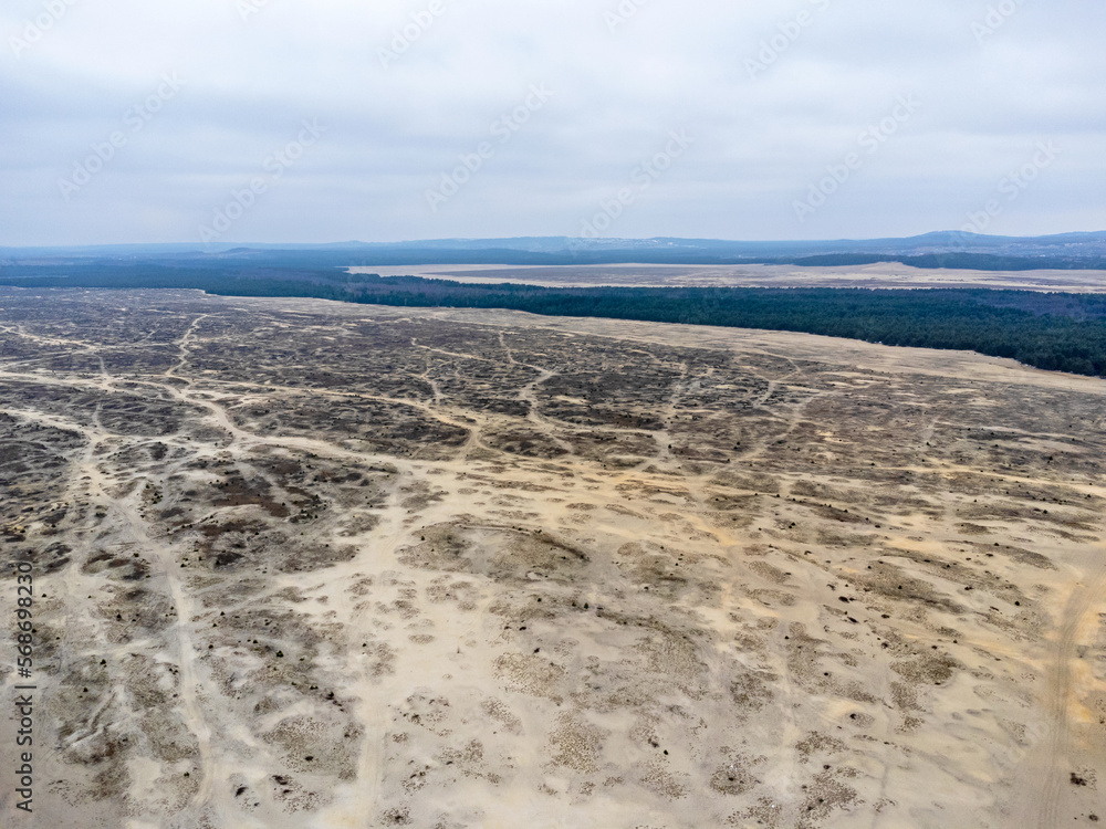 Aerial view landscape. View of Bledowska Desert, sand and trees, Poland.
