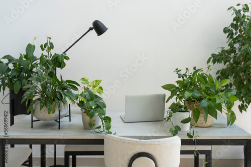 Laptop kept on desk amidst plants at home office photo