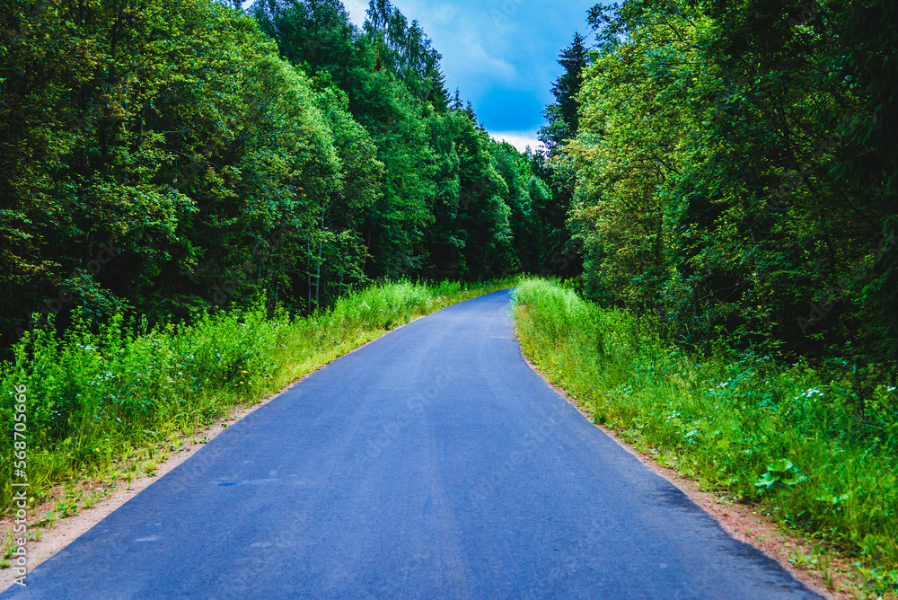 Empty Road in forest against the rain in summer evening.country road curved roadway, trees with green foliage in overcast sky.Landscape with empty asphalt road through woods in summer.Travel concept.