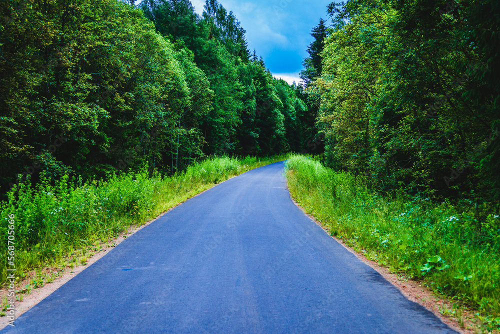 Fototapeta premium Empty Road in forest against the rain in summer evening.country road curved roadway, trees with green foliage in overcast sky.Landscape with empty asphalt road through woods in summer.Travel concept.