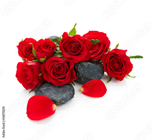 Valentine day red roses isolated on white background