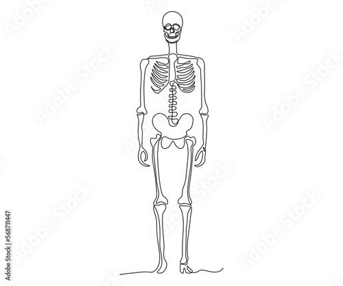 abstract full-length human skeleton, hand-drawn, continuous mono line, one line art, contour drawing