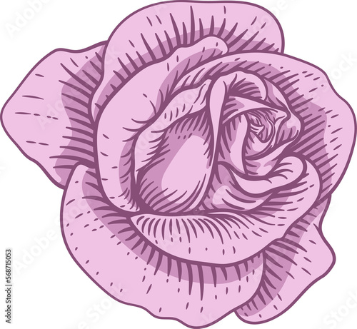 Rose Flower Design Woodcut ...