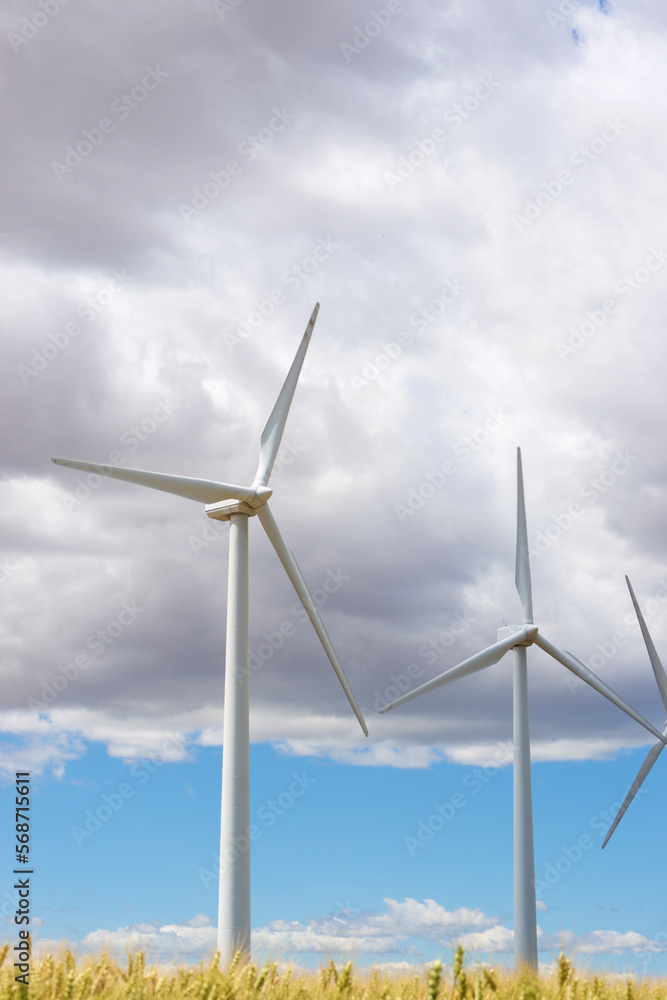 Windmills for renewable electric production in Navarra, Spain. Windmills for renewable electric production in Navarra, Spain.