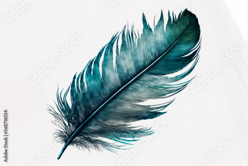 teal blue feather of an angel isolated background