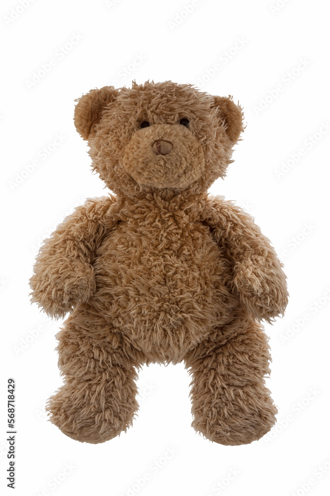 Obraz premium Teddy Bear isolated on white background