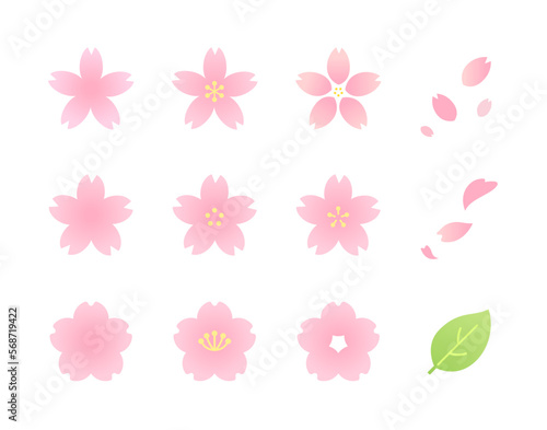 色々な形の桜の花のイラストアイコンセット（カラー）