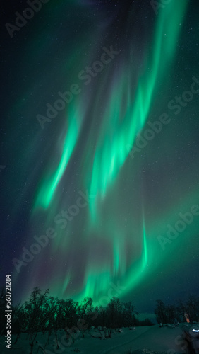 Northern lights   Aurora Borealis on Finnish Norwegian Borders 