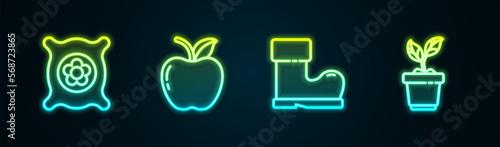 Set line Pack full of seeds of plant, Apple, Waterproof rubber boot and Plant in pot. Glowing neon icon. Vector