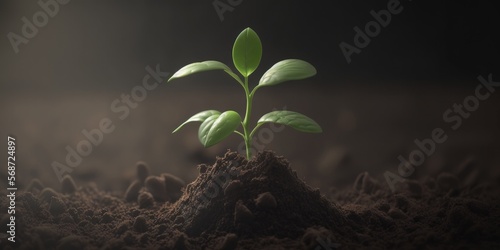 A small green plant rising up from the soil, generative ai