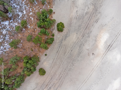 Aerial view landscape. Desert seen from above, sand, trees, path.