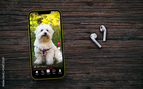 Sample social media app interface on mobile phone on a wooden table with headphones - concept of modern networking and sharing of short form video content. Little dog on social media account 