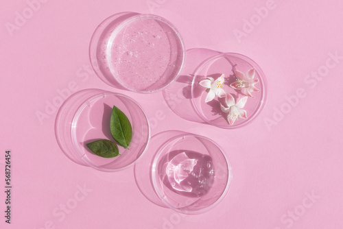 Facial serum or gel with hyaluronic acid, flower and leaves in Petri dishes on a pink background. Concept of cosmetics laboratory researches, wellness, beauty and natural cosmetics