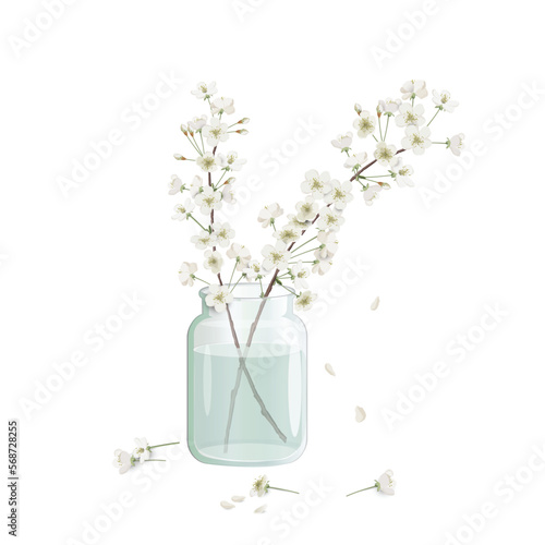 Flowering branches of cherry tree (sakura) in a simple glass jar with water. Cherry blossom in spring. Vector watercolor realistic illustration for room interior design projects.