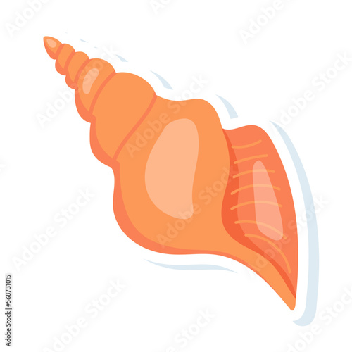 Conch 