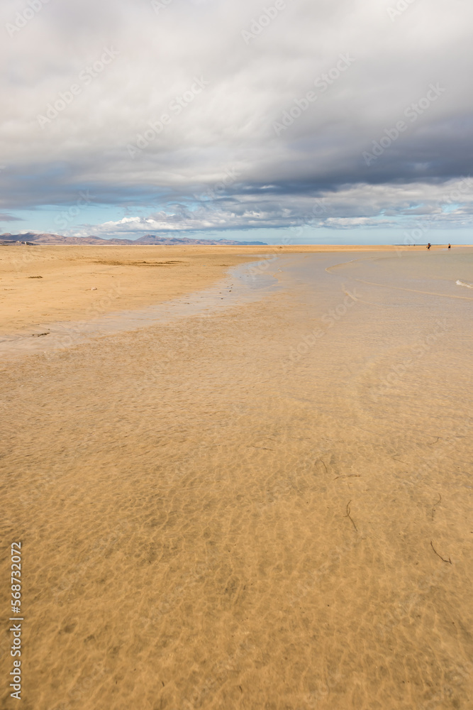 beautiful paradise beach of yellow spider in the afternoon, with large white clouds and the sea caressing the coast. Fuerteventura, Canary Islands, Spain beautiful paradise beach of yellow spider in the afternoon, with large white clouds and the sea caressing the coast. Fuerteventura, Canary Islands, Spain